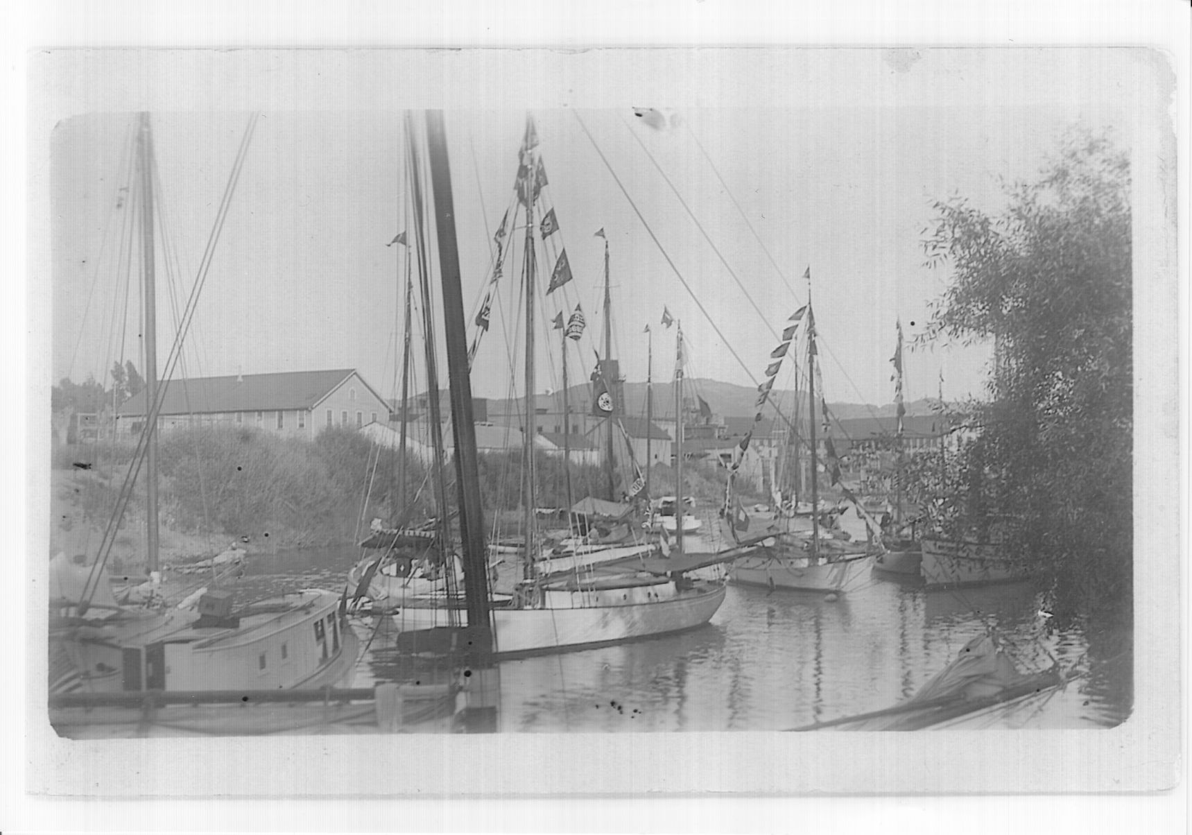 Sailboats on the Napa River